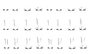 Draw the nose step-by-step