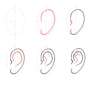 draw ear side tutorial