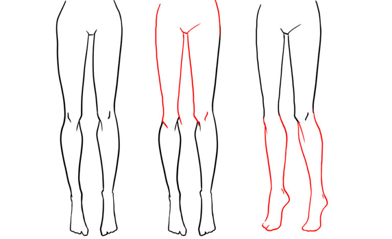 sketch the legs in 3/4 side view