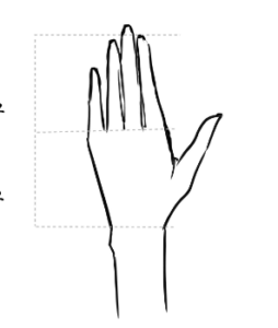 fashion design sketch hands proportions