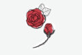 Learn how to draw roses step-by-step tutorial