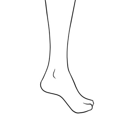 Draw the base of the foot.
