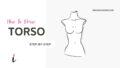 How To Draw Torso step by step tutorial cover – figure, torso – How to draw female torso