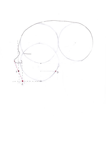 how to draw profile face step 07 &ndash; face, hairstyle, profile, sideways face &ndash; How to draw a profile